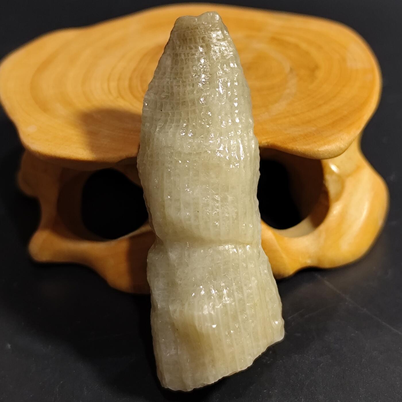 希腊罗马丝路打制币化石【中外钱币放漏】专场！陆小鱼的钱币仓，限时拍卖第080场 4.5亿年前奥陶纪时期海洋古生物化石标本18.9g