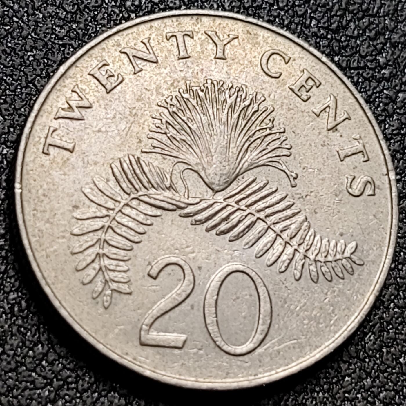 泉币菌-第153场-平安夜专场 。