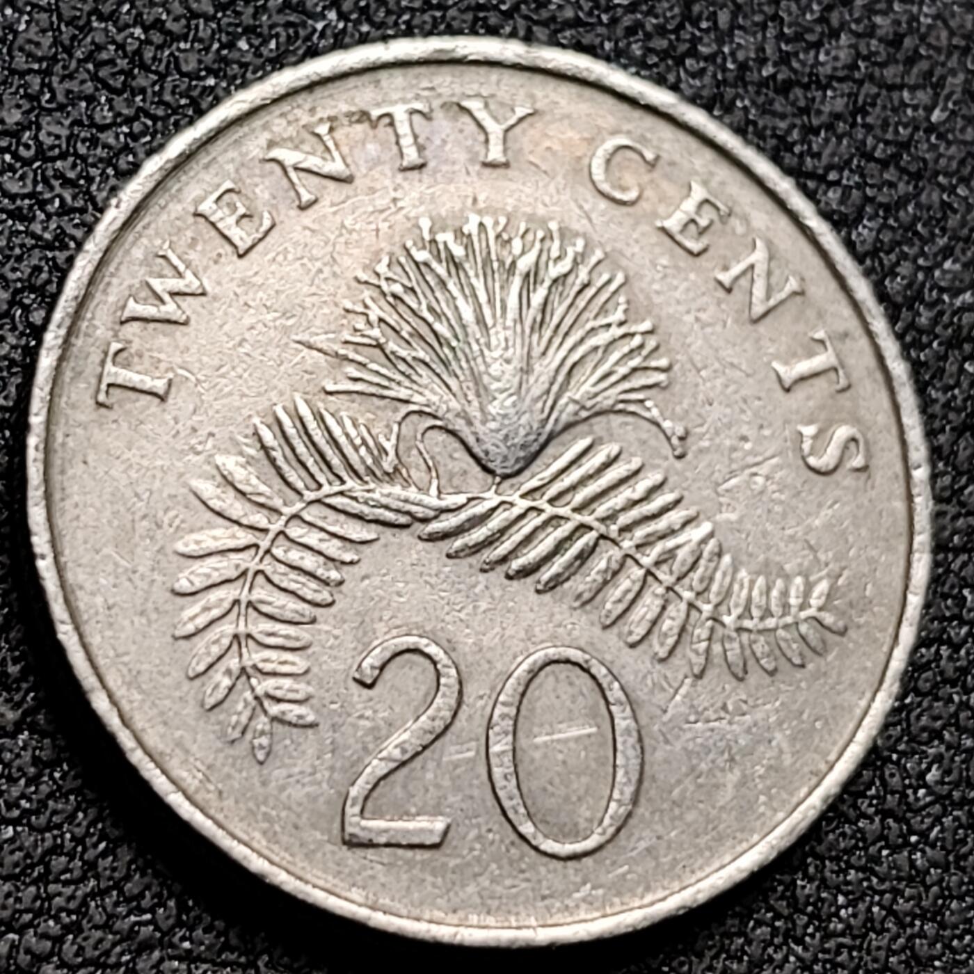 泉币菌-第153场-平安夜专场 。