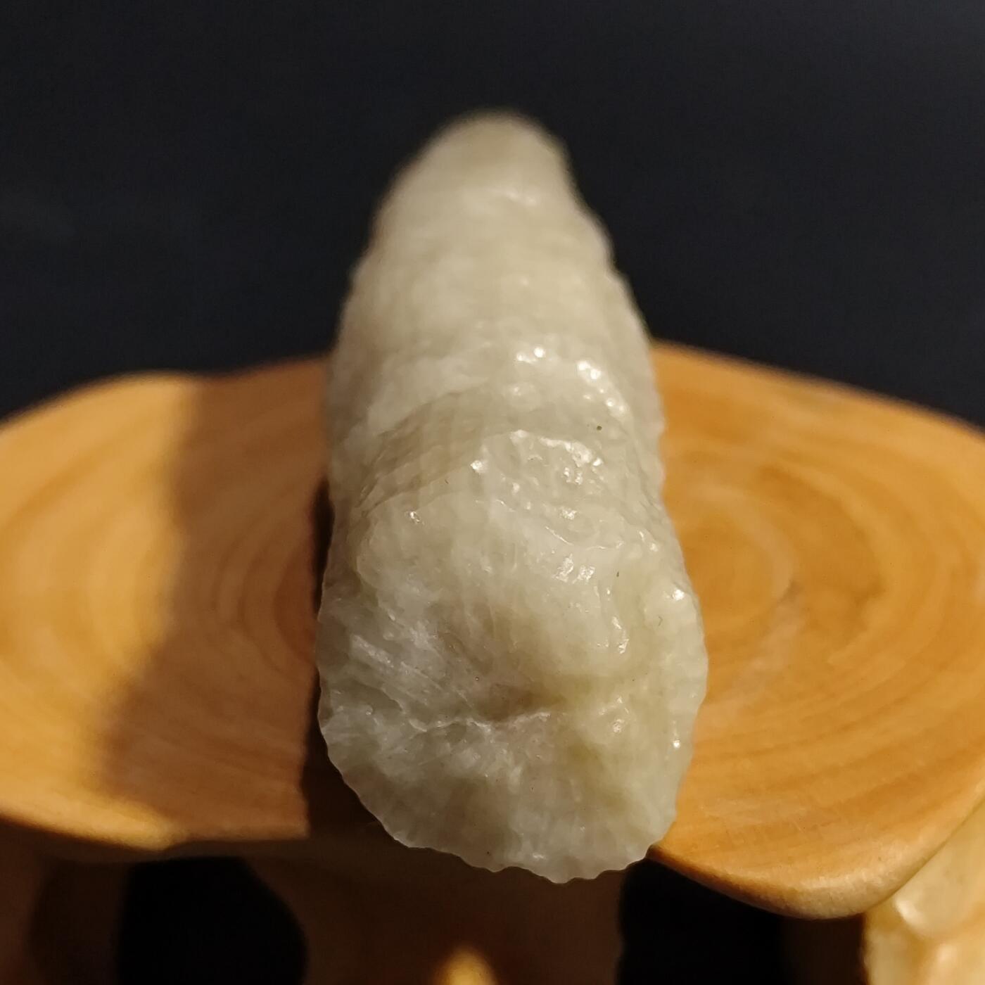 希腊罗马丝路打制币化石【中外钱币放漏】专场！陆小鱼的钱币仓，限时拍卖第080场 4.5亿年前奥陶纪时期海洋古生物化石标本18.9g