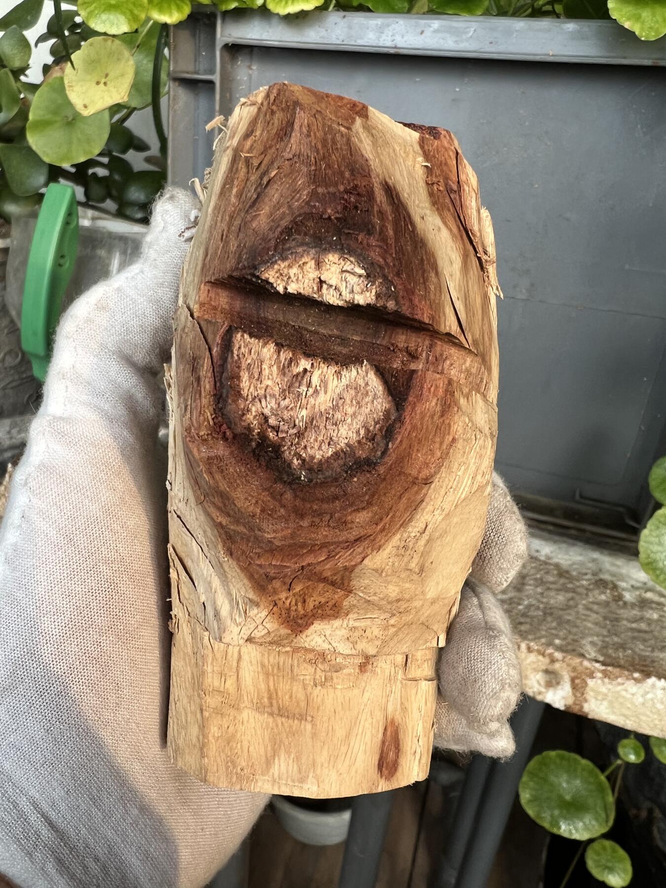 零元拍：  1688/6 海南黄花梨原料。因为料子不规则，尺寸为大约尺寸：113/54/60/52/48MM