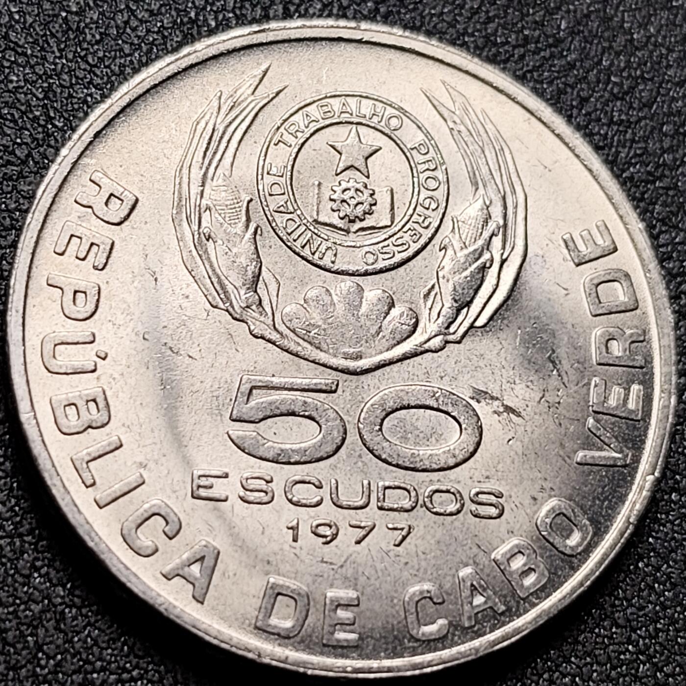 泉币菌-第154场-圣诞节专场 。