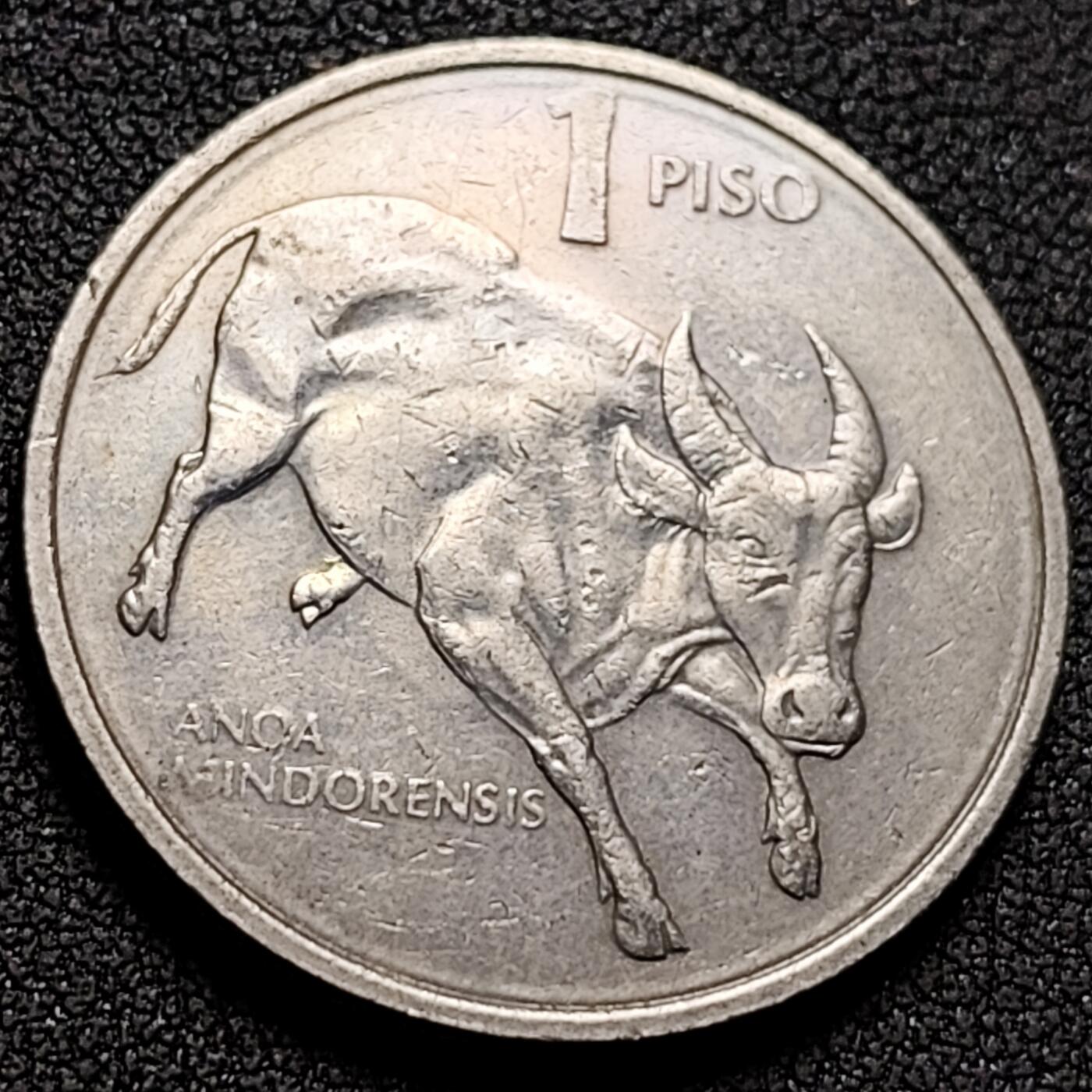 泉币菌-第153场-平安夜专场 。