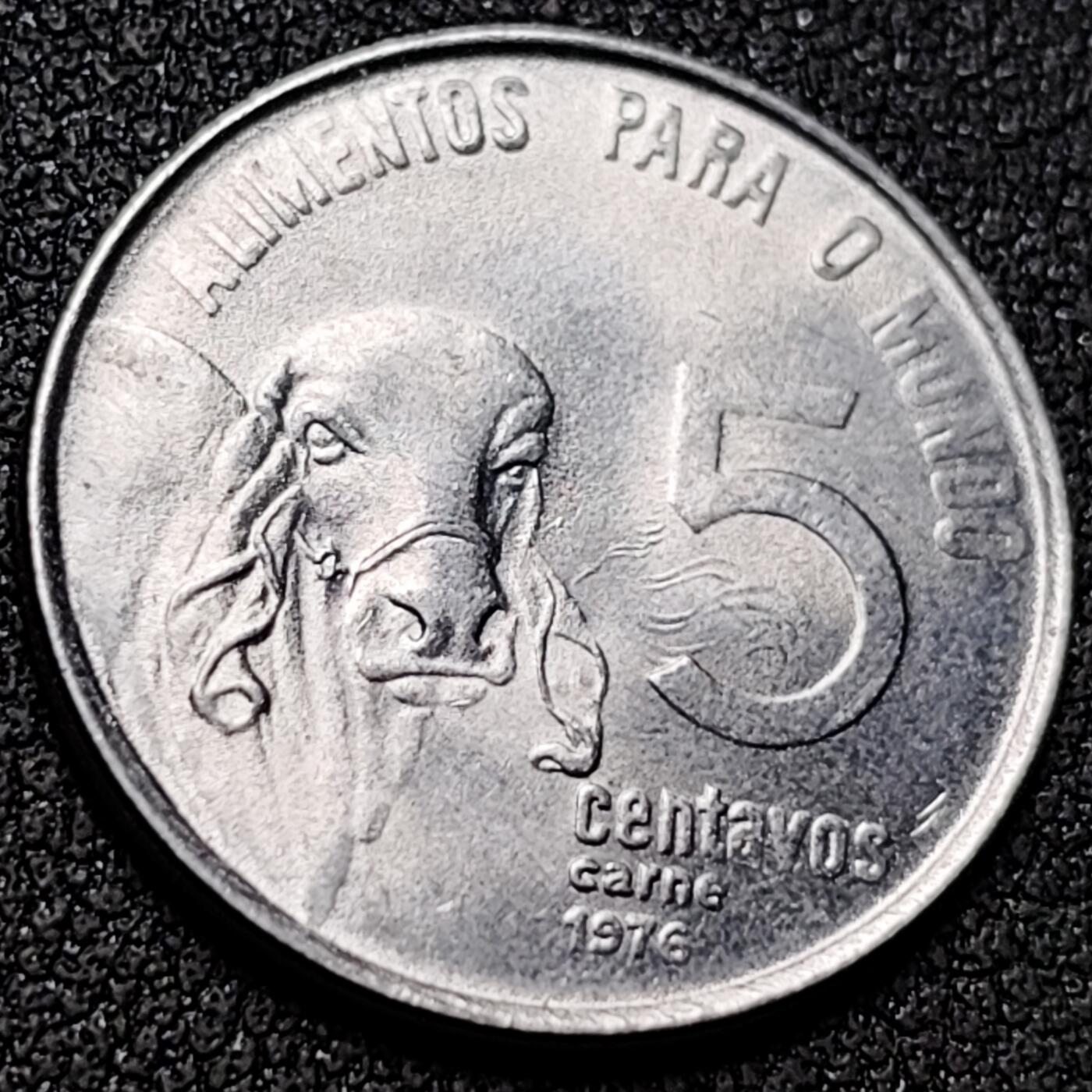 泉币菌-第154场-圣诞节专场 。