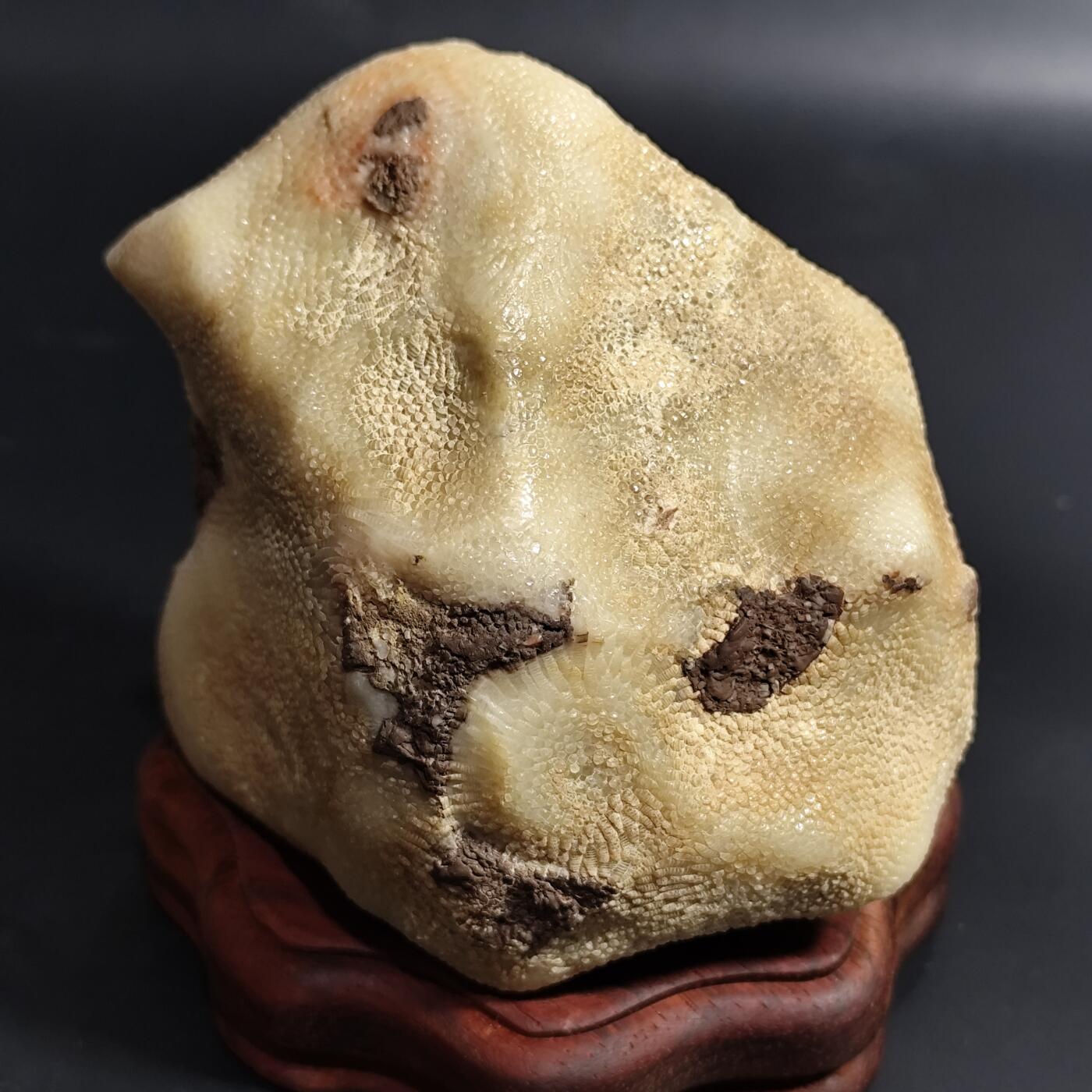 希腊罗马丝路打制币化石【中外钱币放漏】专场！陆小鱼的钱币仓，限时拍卖第080场 4.5亿年前奥陶纪时期海洋古生物化石标本600g