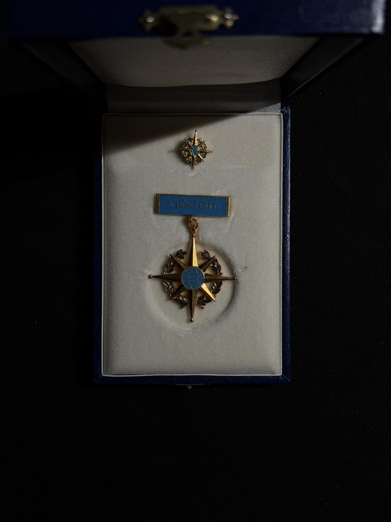 欢庆元旦！戎马世界章牌大赏第109期元旦大拍