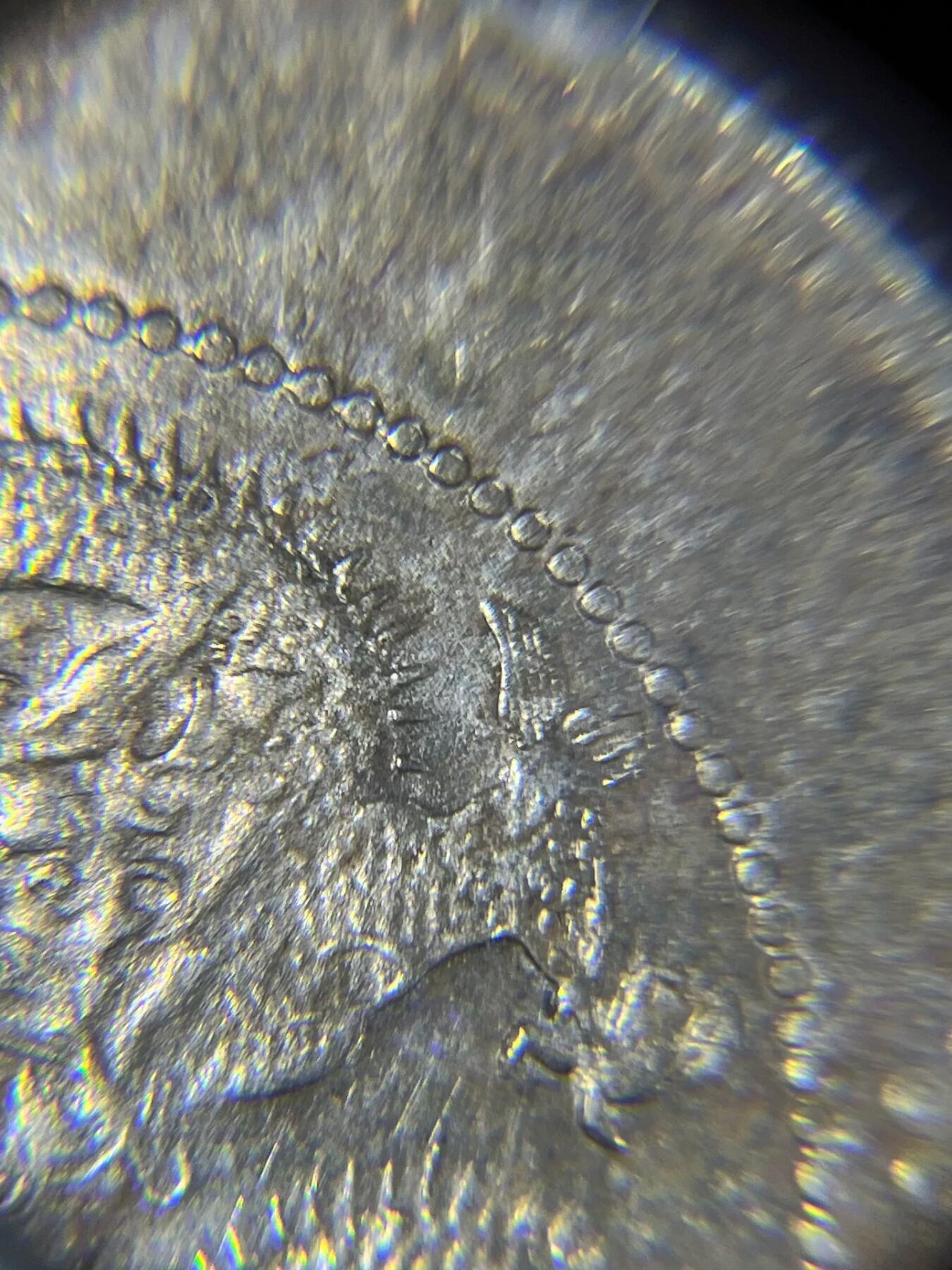 换藏云南半圆龙，马尾珠小珍珠