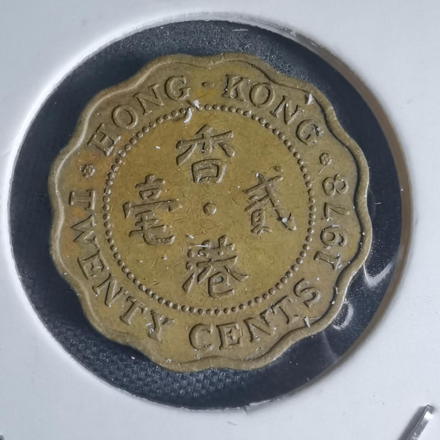 沼泽如烟--第944场