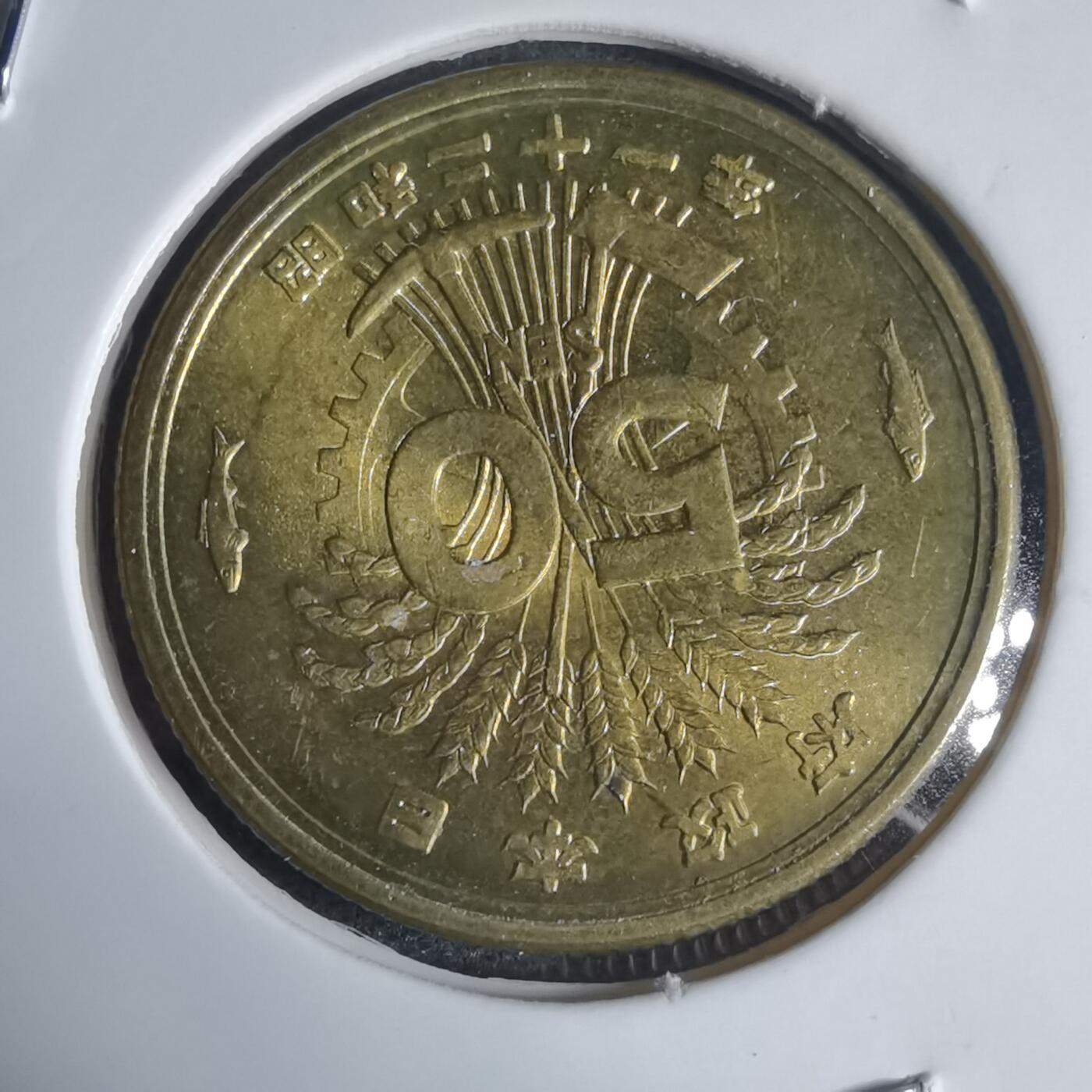 沼泽如烟--第944场