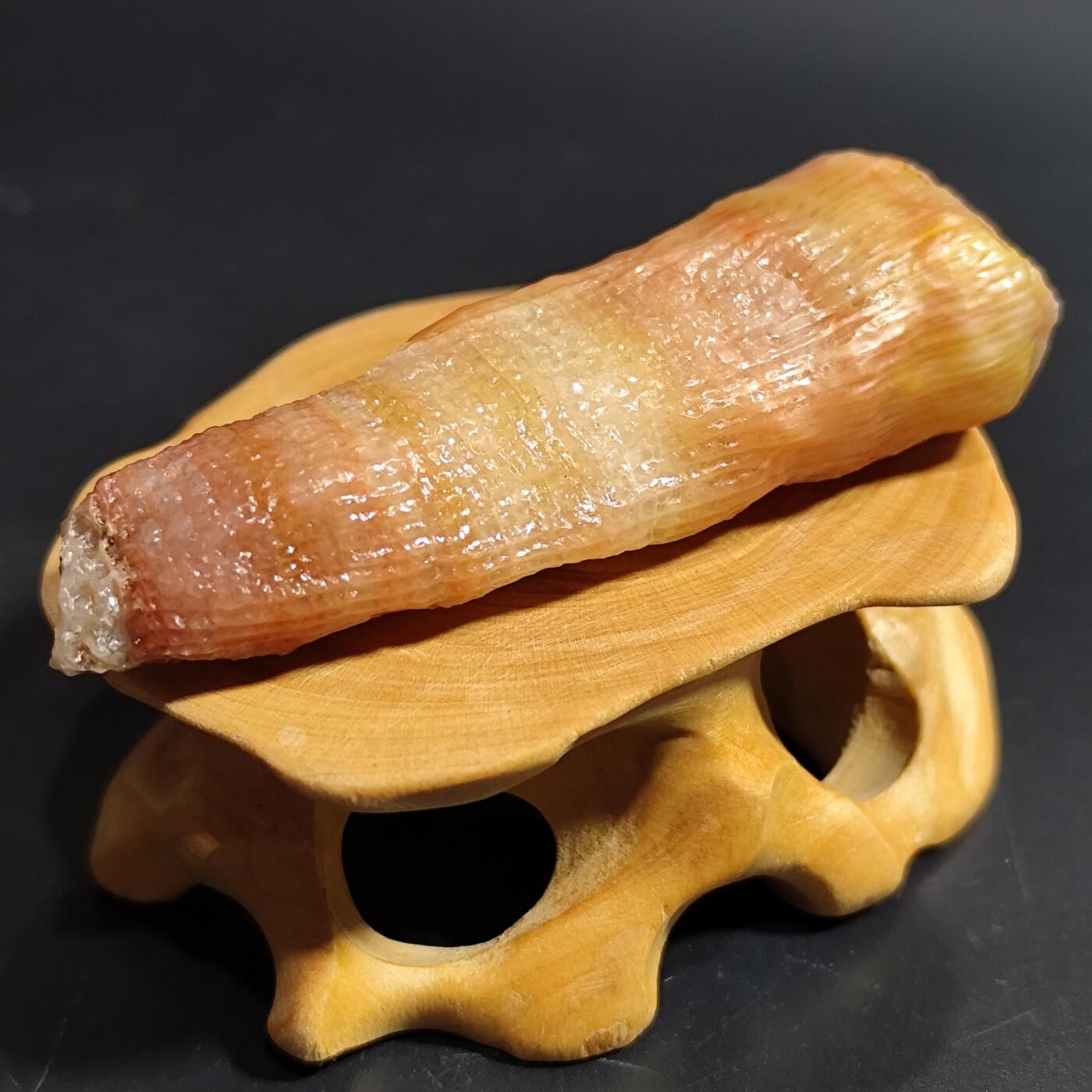 希腊罗马丝路打制币化石【中外钱币放漏】专场！陆小鱼的钱币仓，限时拍卖第080场 小精品 全玉化果冻料 彩色羊角单体珊瑚化石 4.5亿年前奥陶纪时期海洋古生物化石标本24g