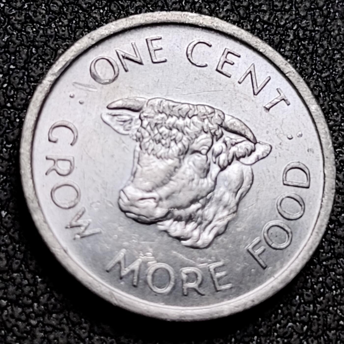 泉币菌-第154场-圣诞节专场 。