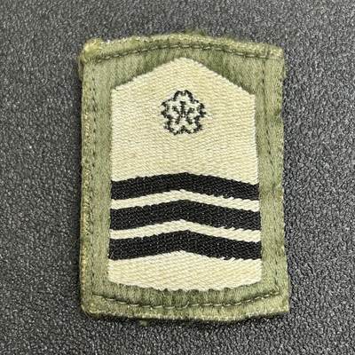 西秦中古拍卖第七十期 - 不忘历史 日本自卫队一等空曹军衔 早期版