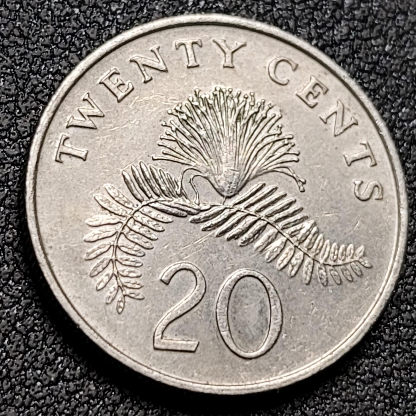 泉币菌-第153场-平安夜专场 。