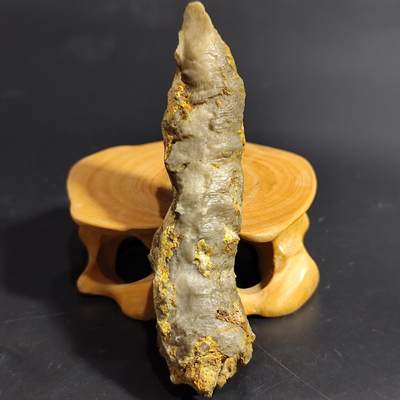 希腊罗马丝路打制币化石【中外钱币放漏】专场！陆小鱼的钱币仓，限时拍卖第080场 - 4.5亿年前奥陶纪时期海洋古生物化石标本32g