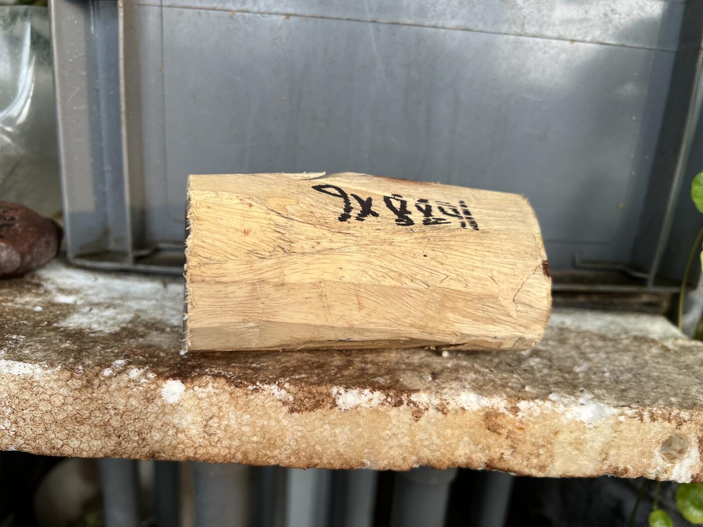 零元拍：  1688/6 海南黄花梨原料。因为料子不规则，尺寸为大约尺寸：113/54/60/52/48MM