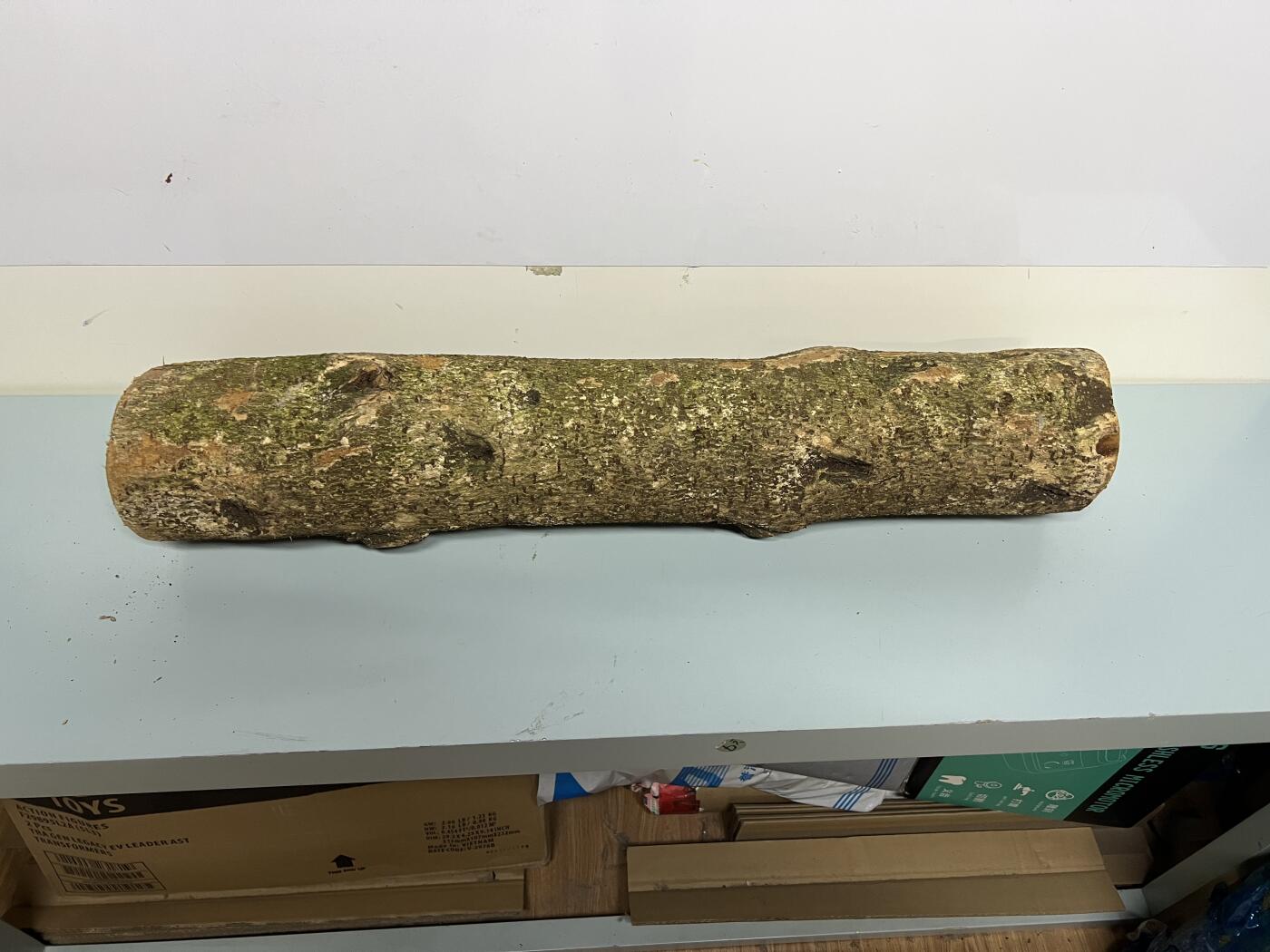 零元拍： 1222-1 金丝楠 原木 风水柱 横财（材）带皮， 尺寸：64/12/11/CM。