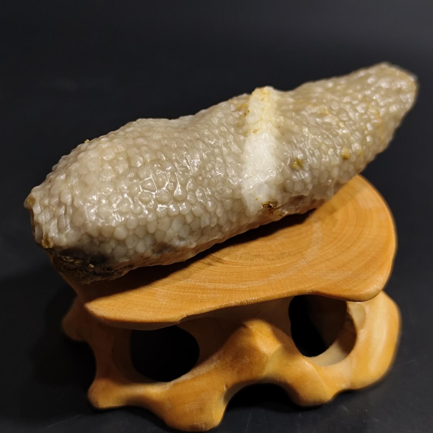 希腊罗马丝路打制币化石【中外钱币放漏】专场！陆小鱼的钱币仓，限时拍卖第080场 4.5亿年前奥陶纪时期海洋古生物化石标本49g