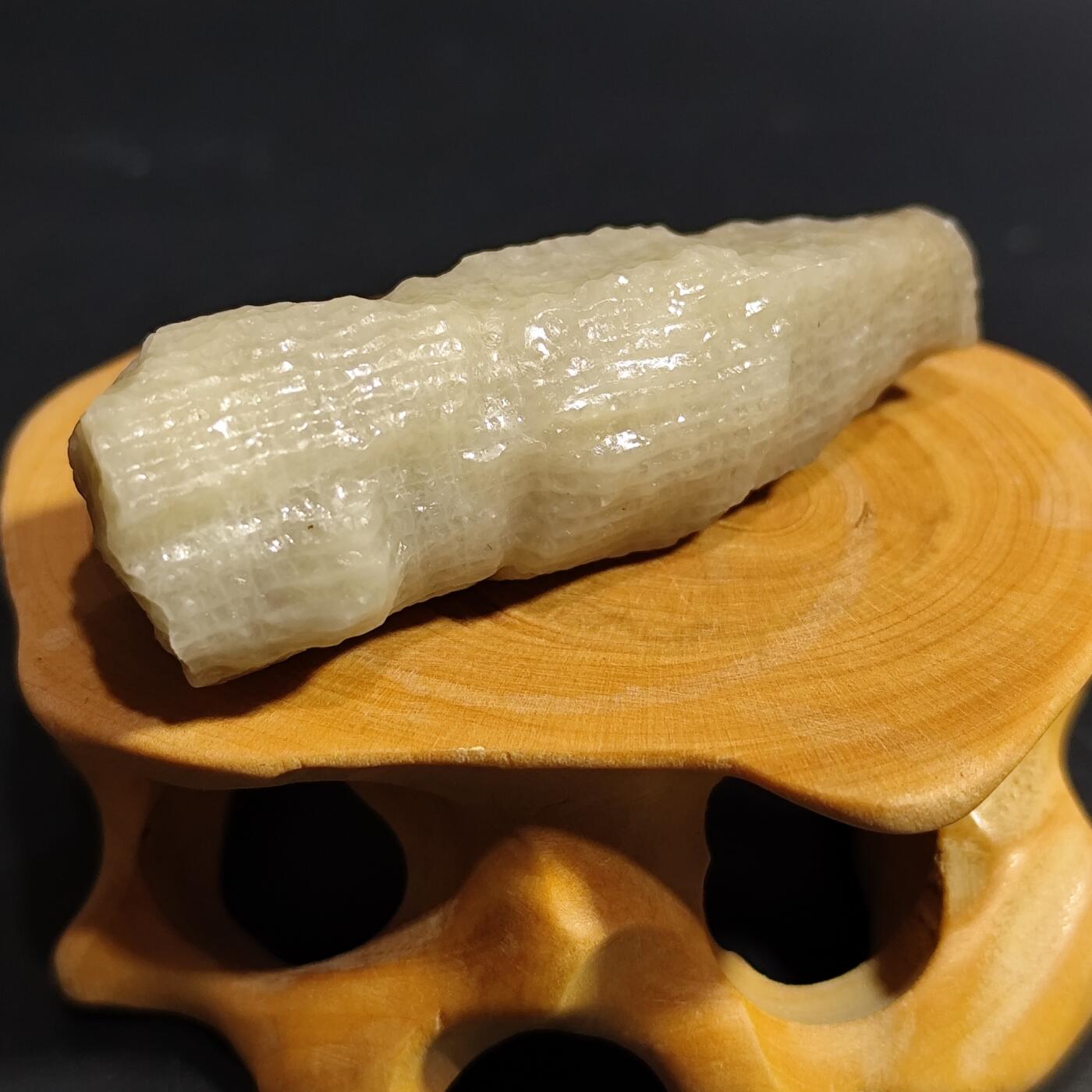 希腊罗马丝路打制币化石【中外钱币放漏】专场！陆小鱼的钱币仓，限时拍卖第080场 4.5亿年前奥陶纪时期海洋古生物化石标本18.9g