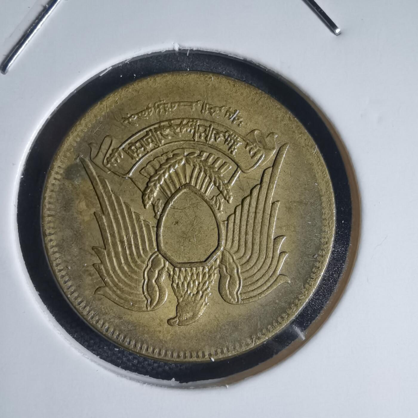 沼泽如烟--第944场 埃及