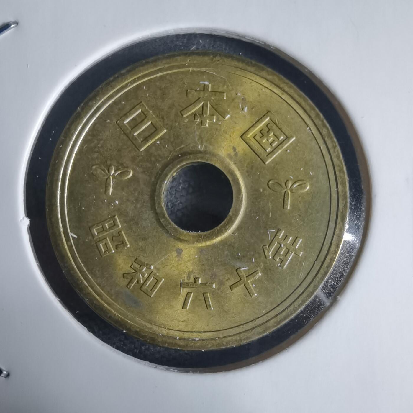 沼泽如烟--第944场