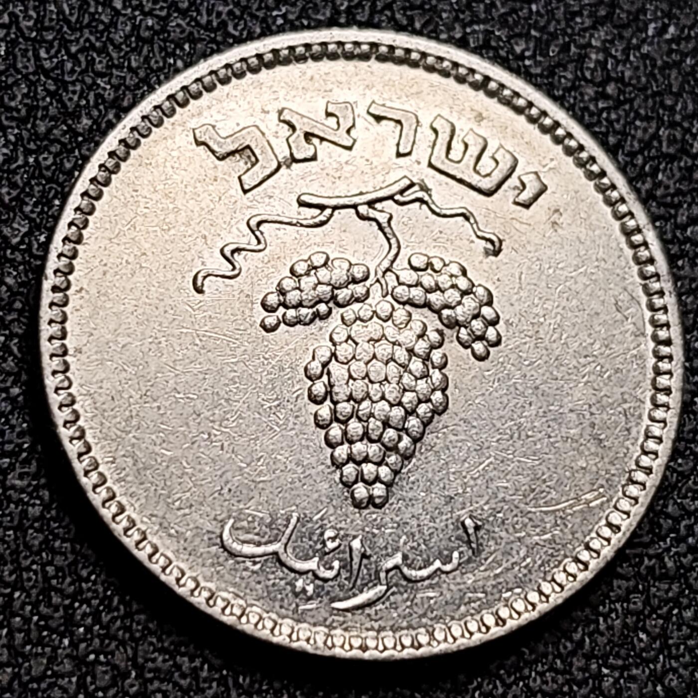 泉币菌-第154场-圣诞节专场 。