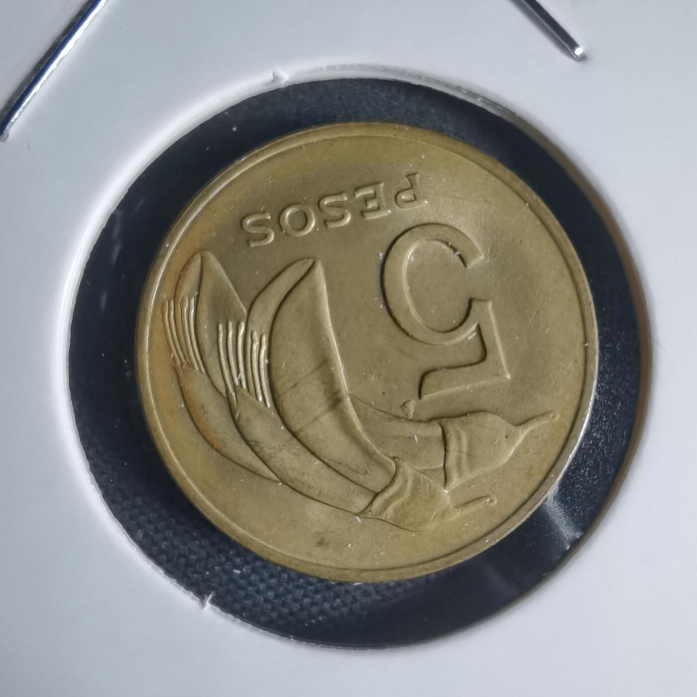 沼泽如烟--第944场