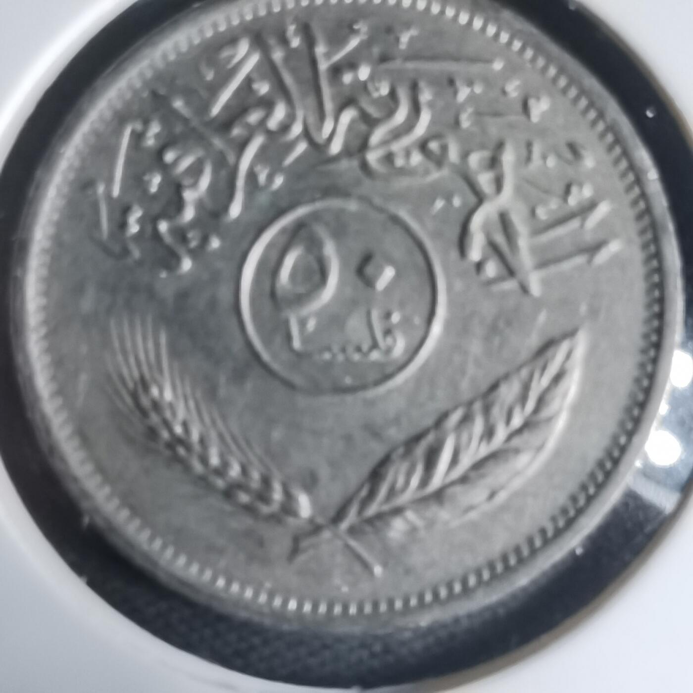 沼泽如烟--第944场