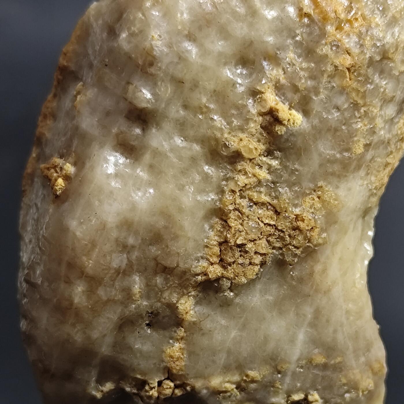 希腊罗马丝路打制币化石【中外钱币放漏】专场！陆小鱼的钱币仓，限时拍卖第080场 4.5亿年前奥陶纪时期海洋古生物化石标本109g