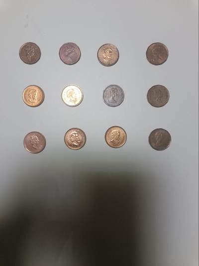 【20251226】非全新纸币和硬币第318场 - 加拿大1分硬币12枚，有重复