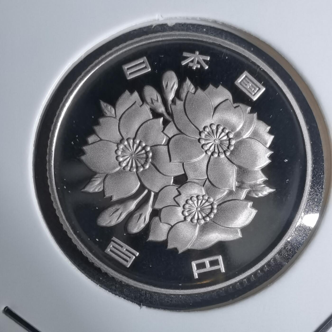 沼泽如烟--第943场