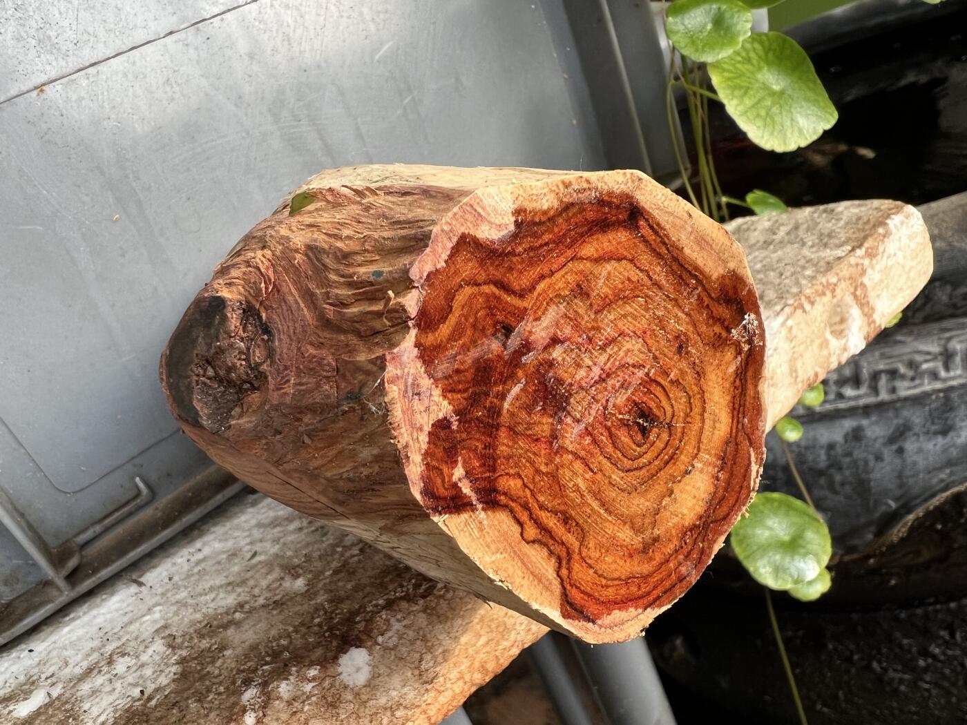 零元拍：  1688/6 海南黄花梨原料。因为料子不规则，尺寸为大约尺寸：113/54/60/52/48MM