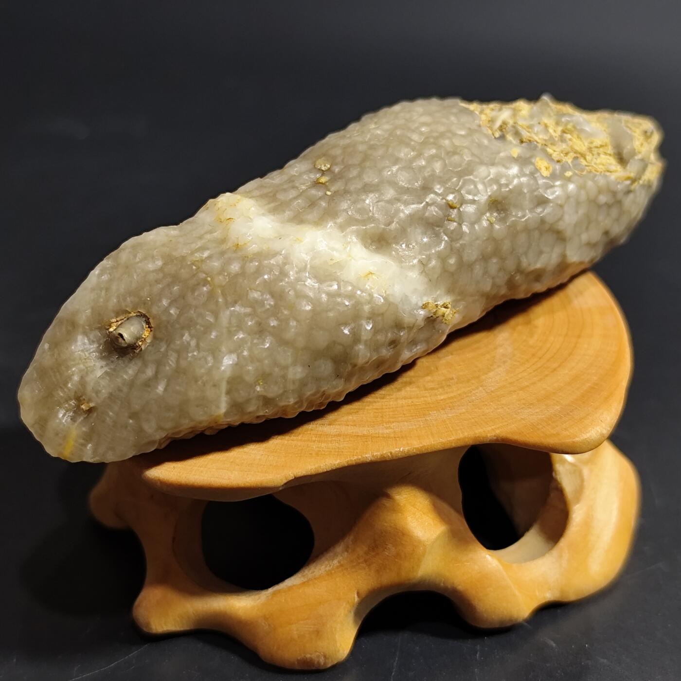 希腊罗马丝路打制币化石【中外钱币放漏】专场！陆小鱼的钱币仓，限时拍卖第080场 4.5亿年前奥陶纪时期海洋古生物化石标本49g