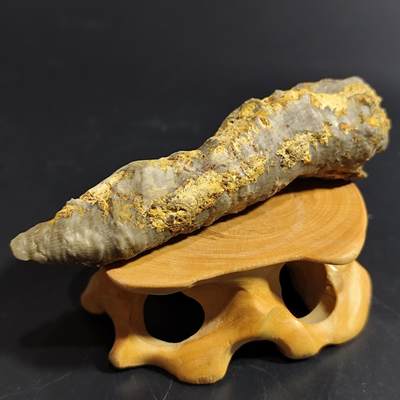 希腊罗马丝路打制币化石【中外钱币放漏】专场！陆小鱼的钱币仓，限时拍卖第080场 - 管状珊瑚化石 形制细长完整 非常难得 也是全玉化 4.5亿年前奥陶纪时期海洋古生物化石标本32g