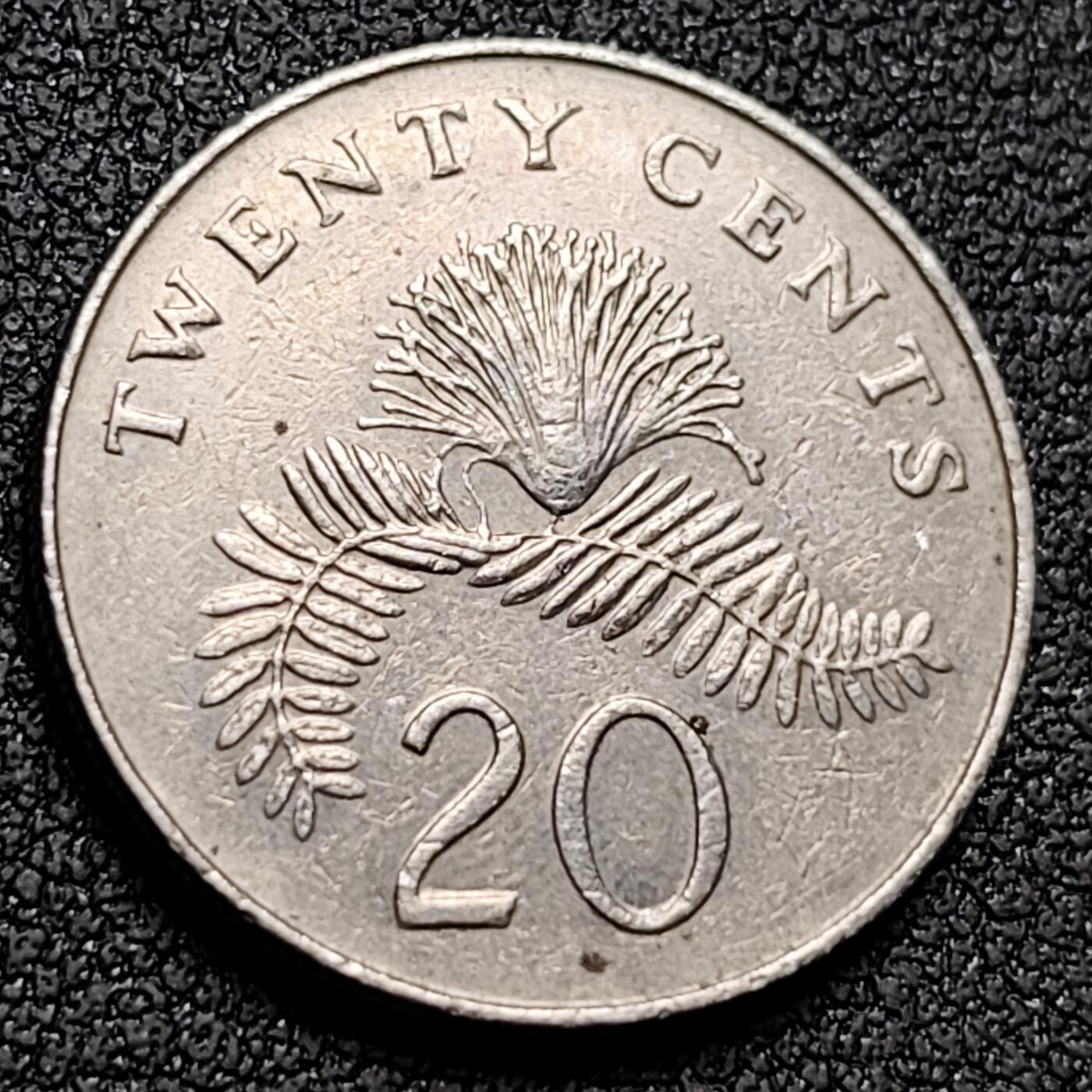 泉币菌-第153场-平安夜专场 。