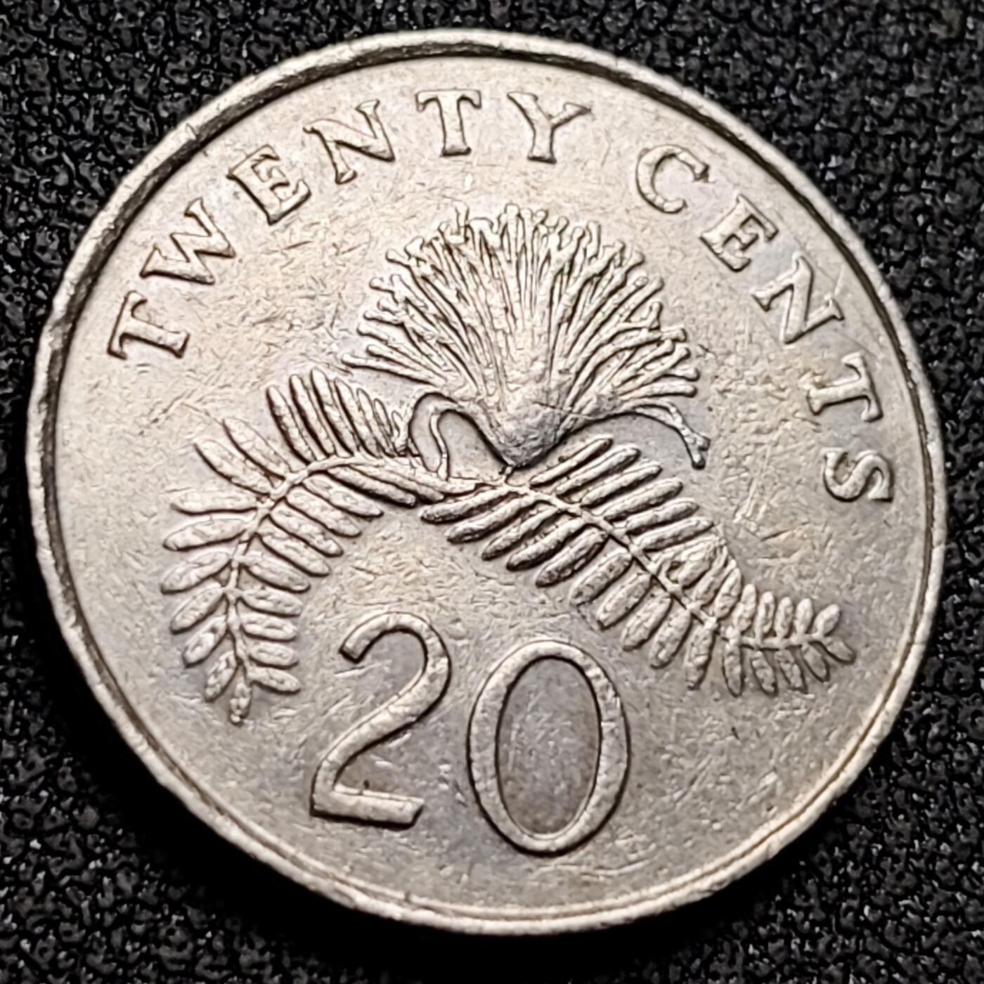 泉币菌-第153场-平安夜专场 。