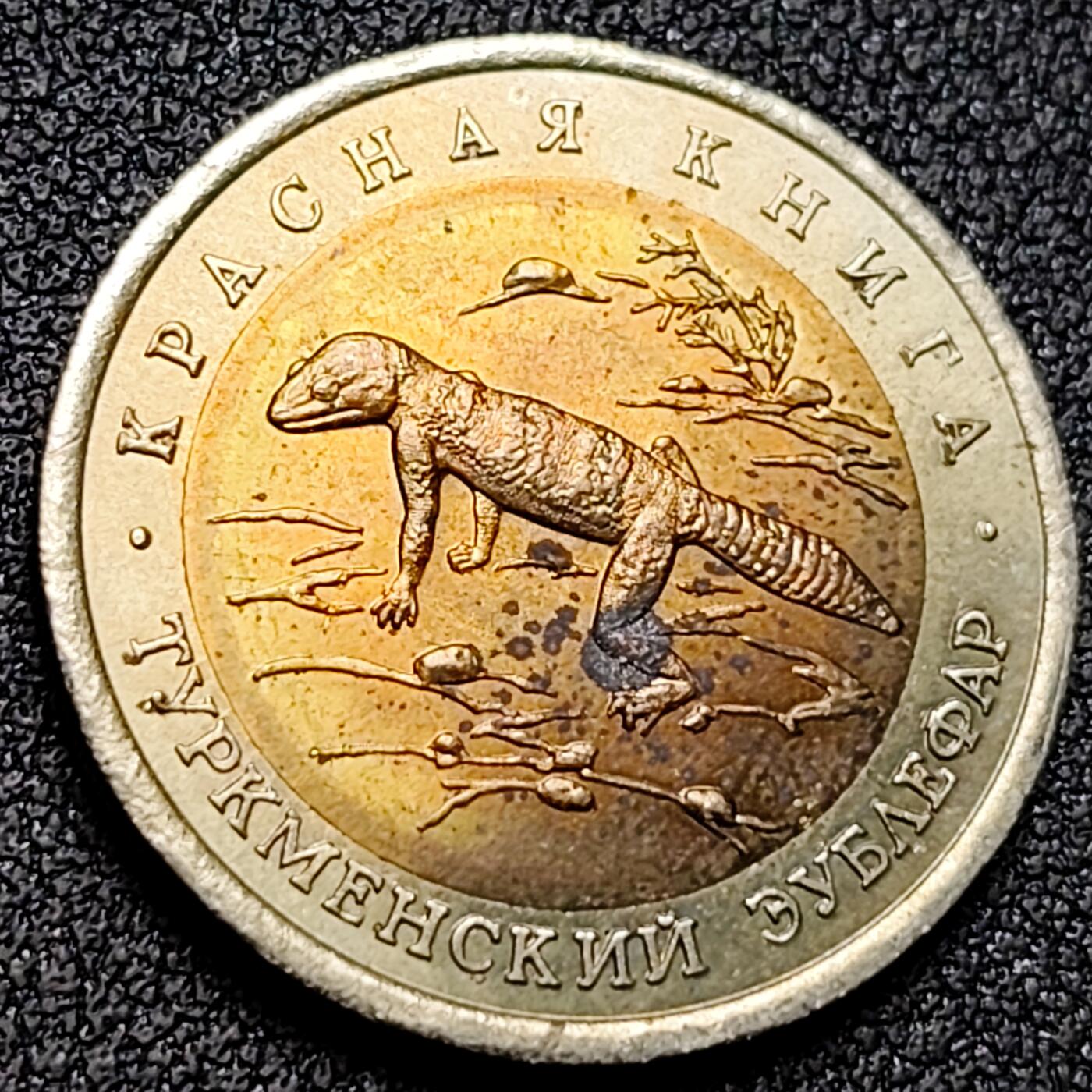 泉币菌-第153场-平安夜专场 。