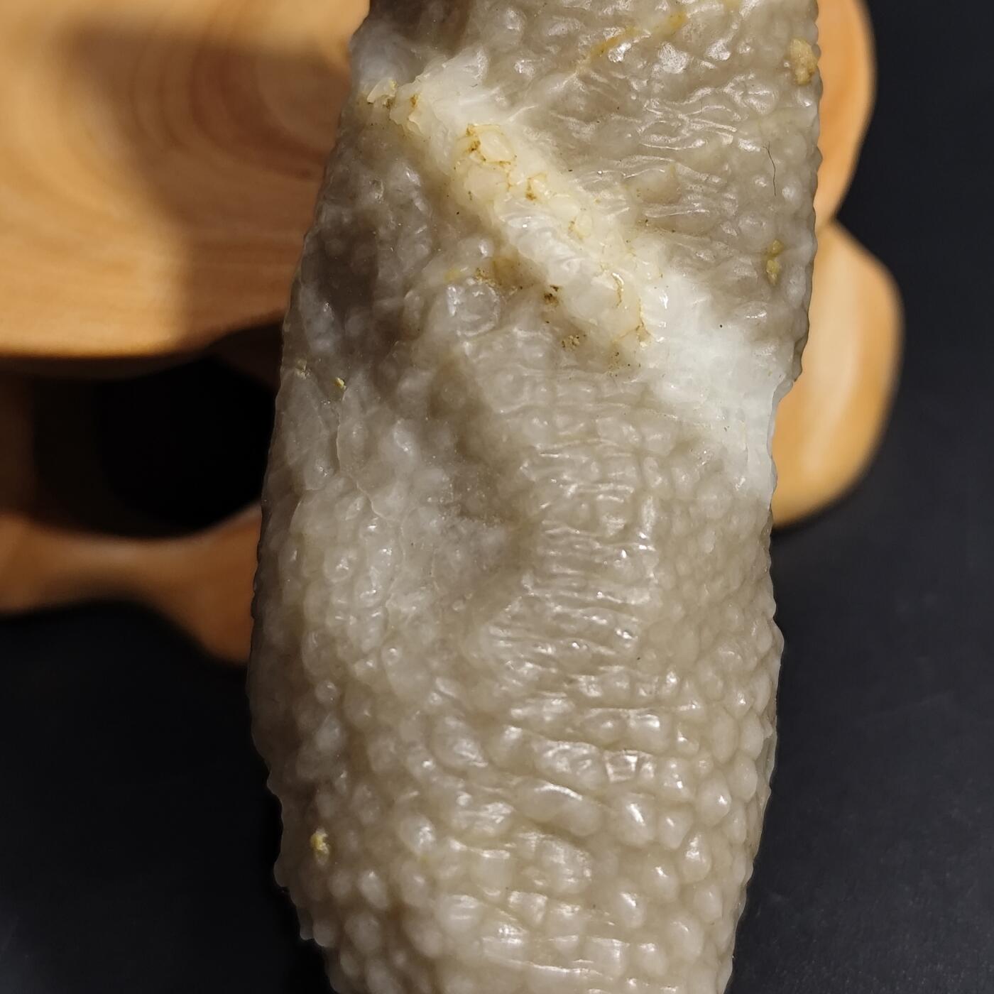 希腊罗马丝路打制币化石【中外钱币放漏】专场！陆小鱼的钱币仓，限时拍卖第080场 4.5亿年前奥陶纪时期海洋古生物化石标本49g