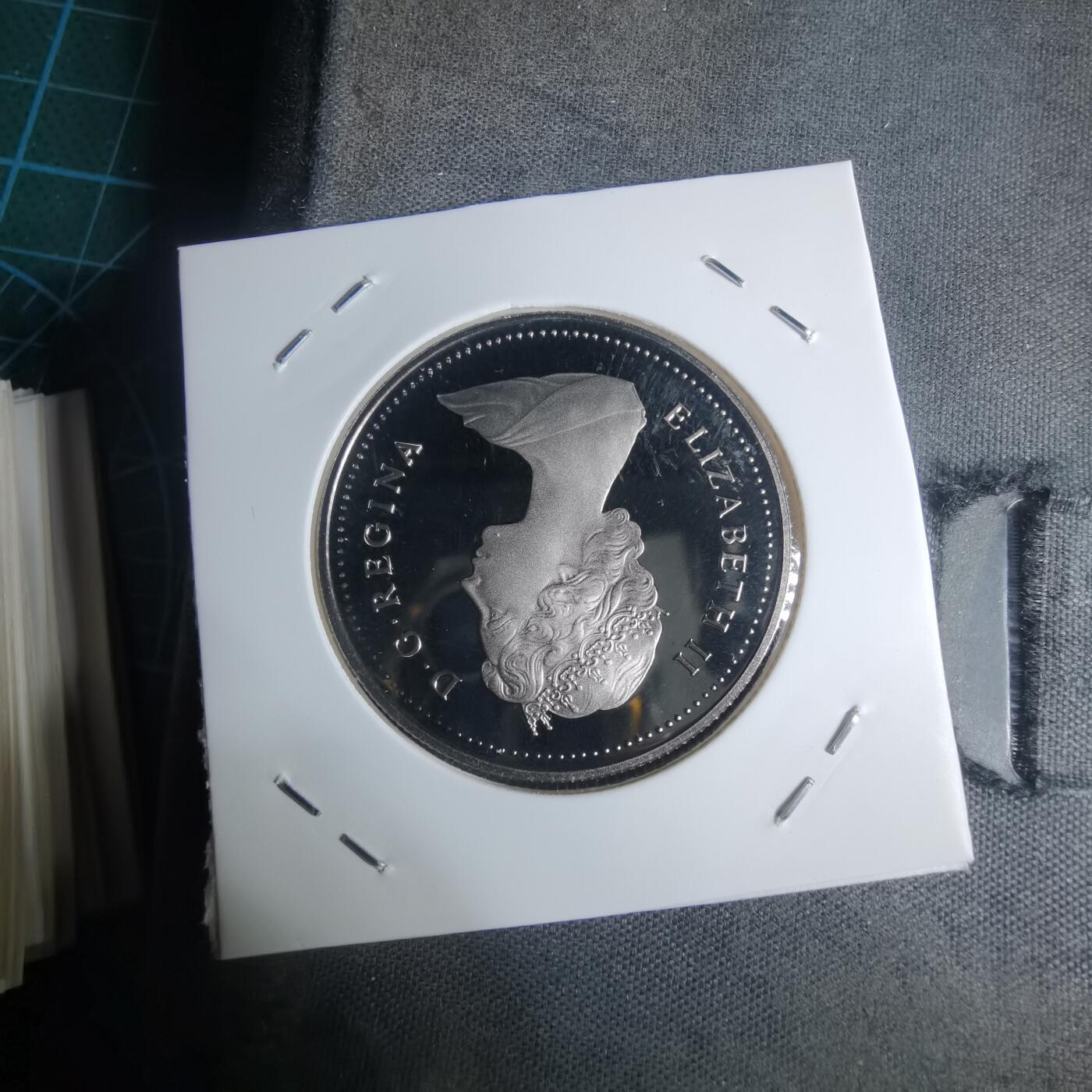 沼泽如烟--第943场 加拿大1985年一元精制币