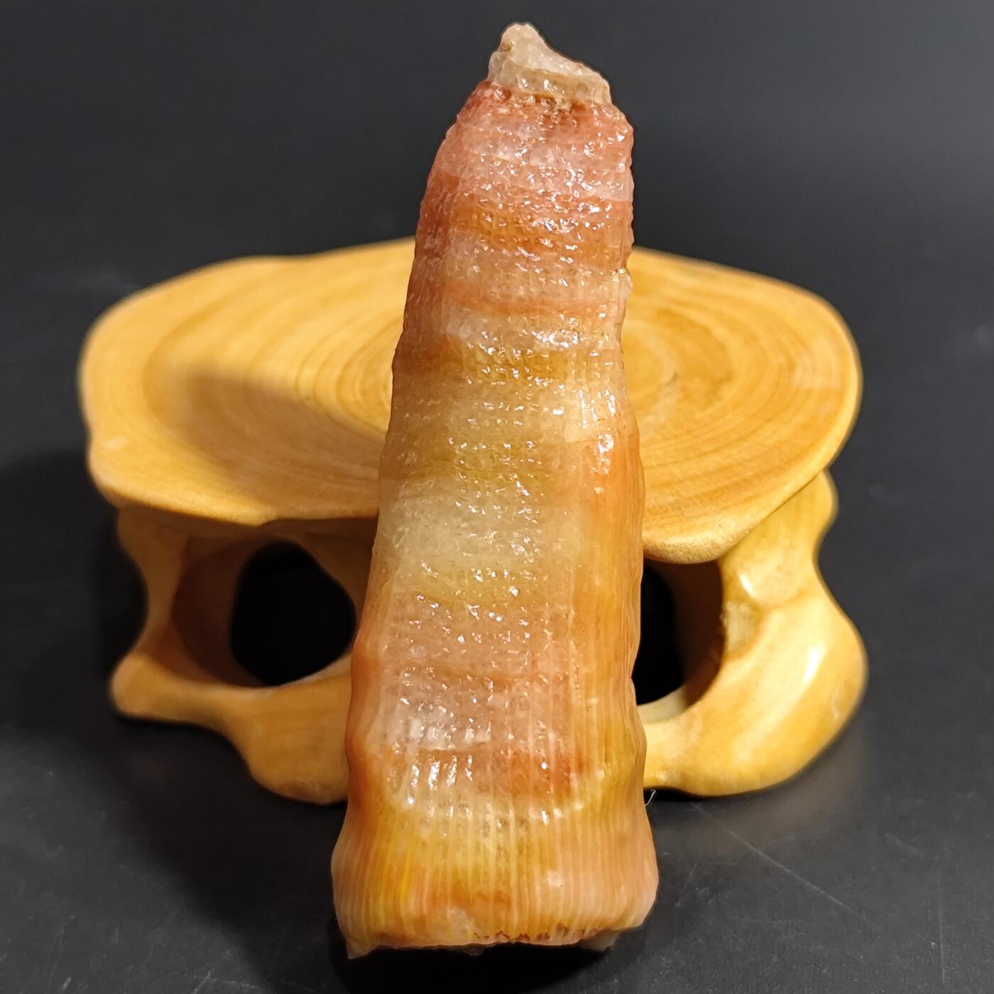 希腊罗马丝路打制币化石【中外钱币放漏】专场！陆小鱼的钱币仓，限时拍卖第080场 小精品 全玉化果冻料 彩色羊角单体珊瑚化石 4.5亿年前奥陶纪时期海洋古生物化石标本24g