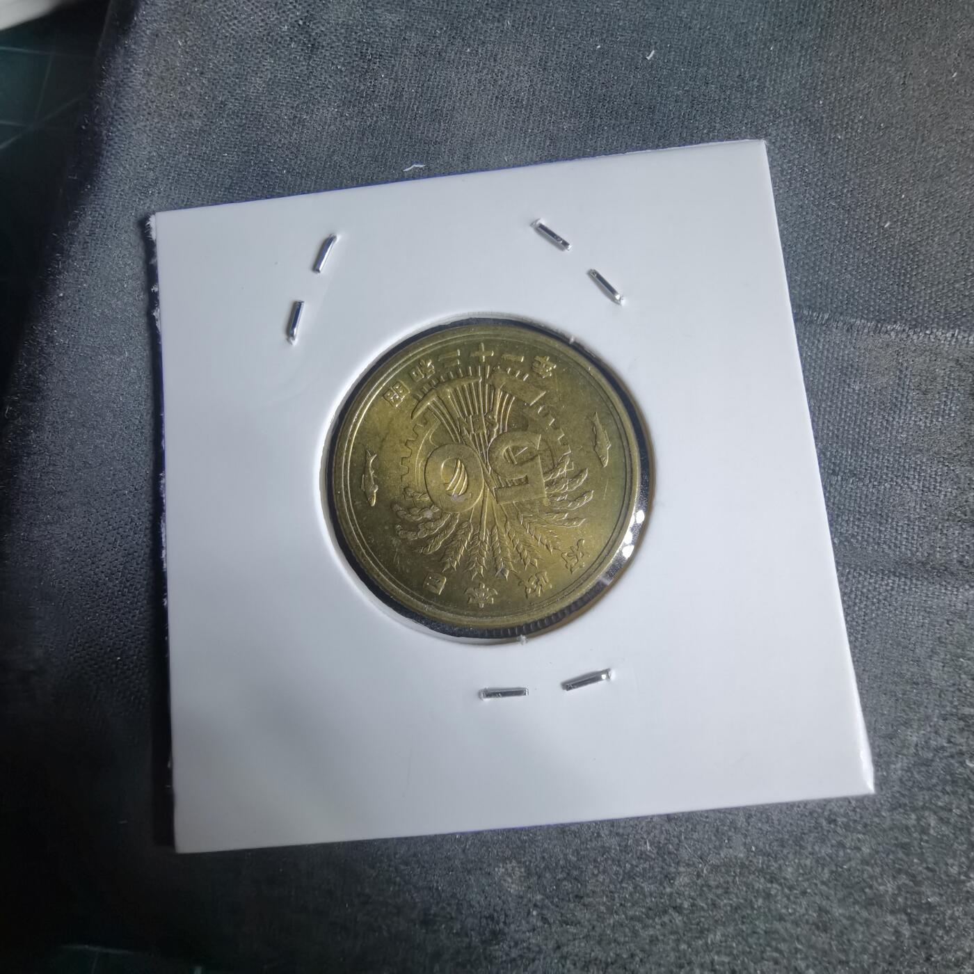 沼泽如烟--第944场