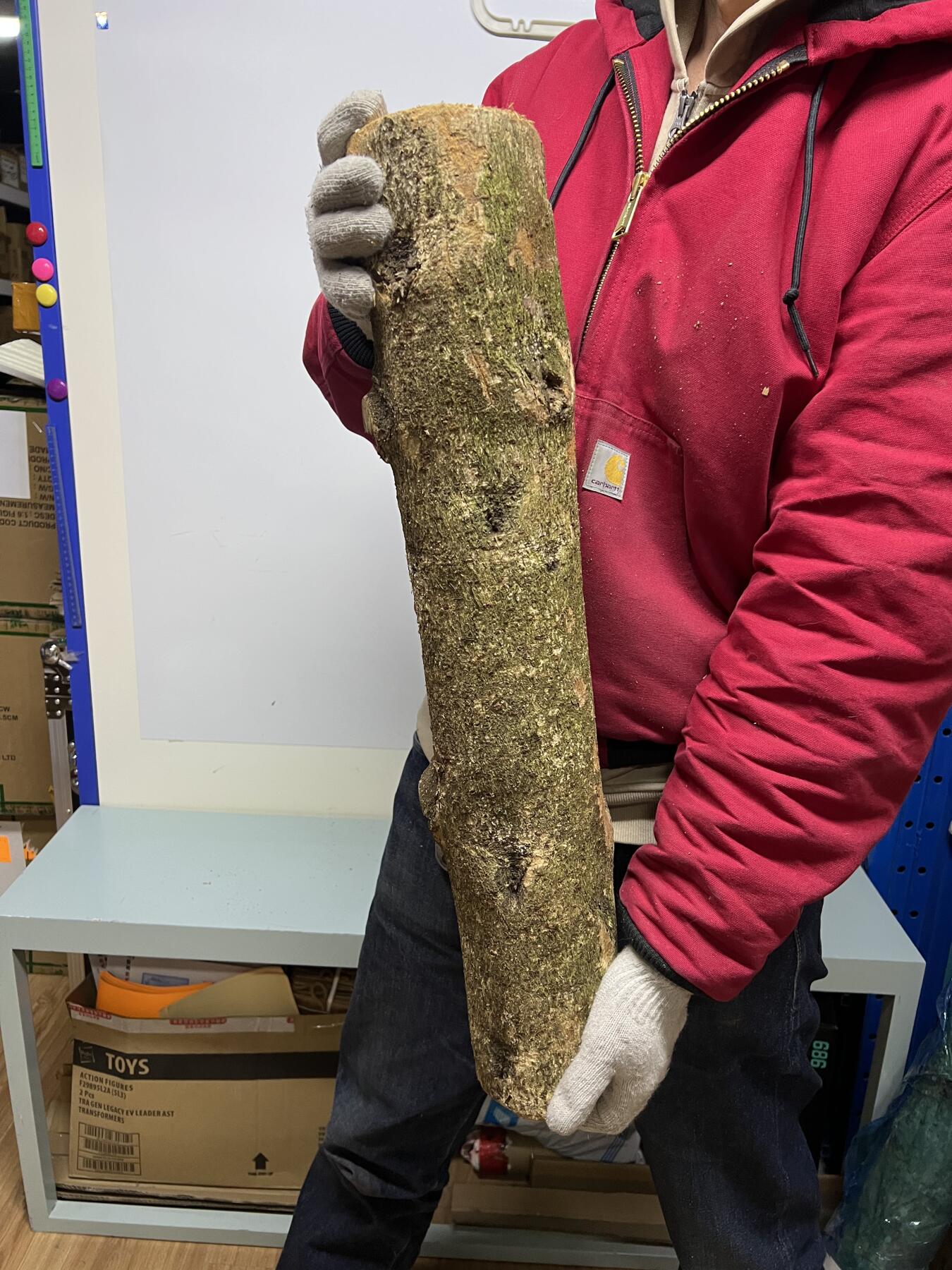 零元拍： 1222-1 金丝楠 原木 风水柱 横财（材）带皮， 尺寸：64/12/11/CM。