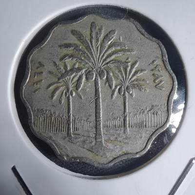 沼泽如烟--第944场 - 伊拉克