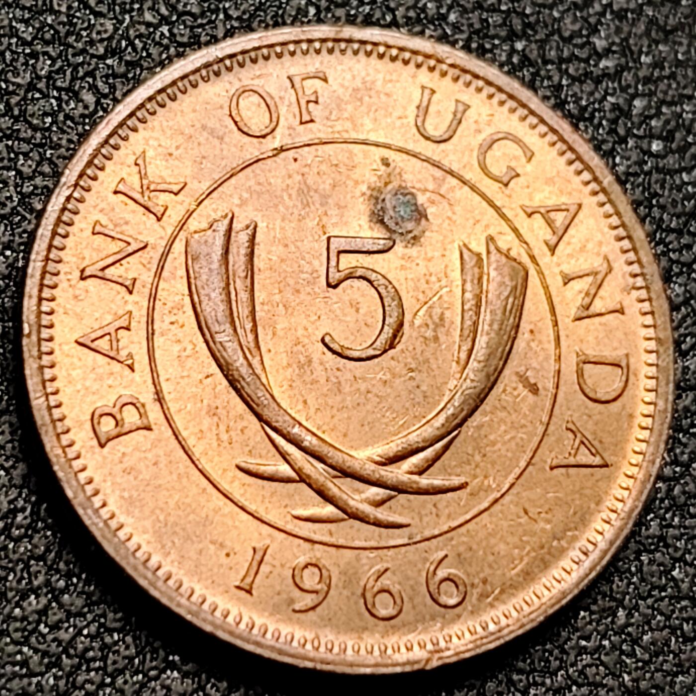 泉币菌-第154场-圣诞节专场 。