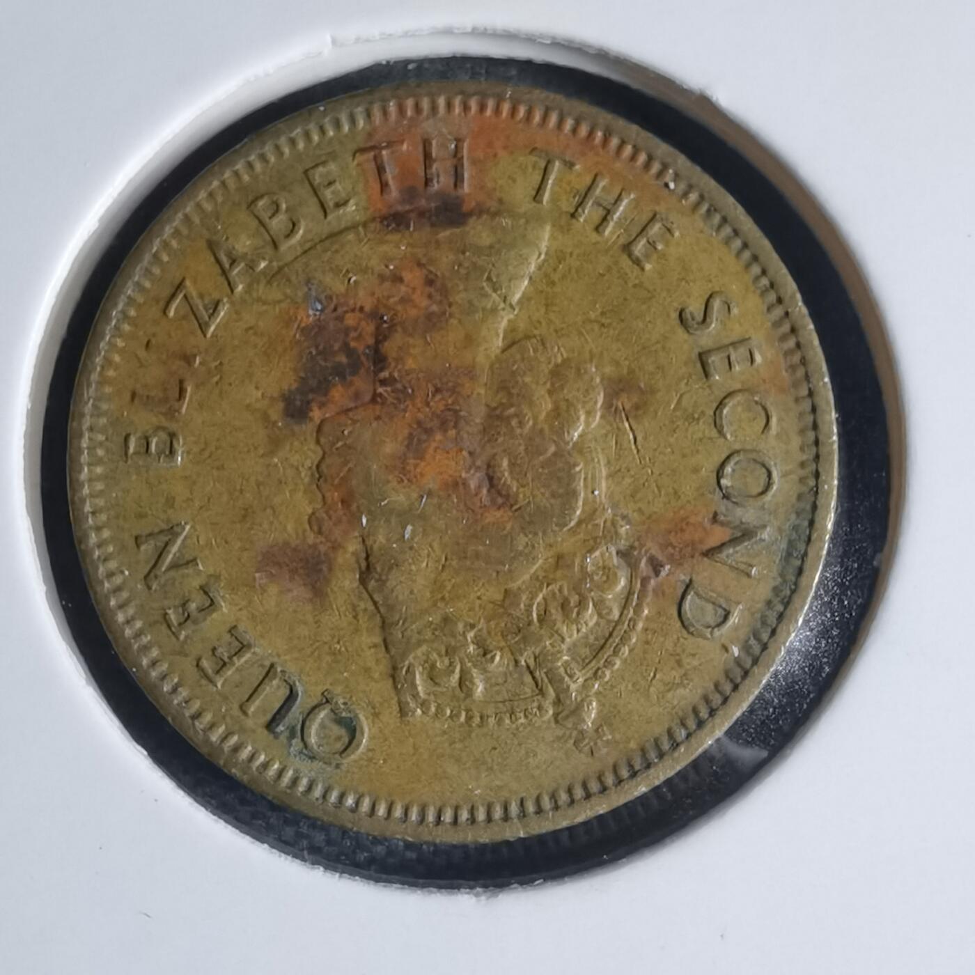 沼泽如烟--第944场 香港1973年一毫