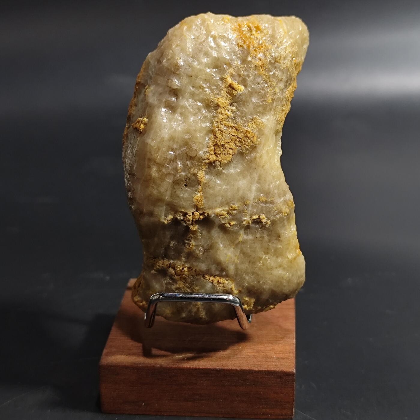 希腊罗马丝路打制币化石【中外钱币放漏】专场！陆小鱼的钱币仓，限时拍卖第080场 4.5亿年前奥陶纪时期海洋古生物化石标本109g