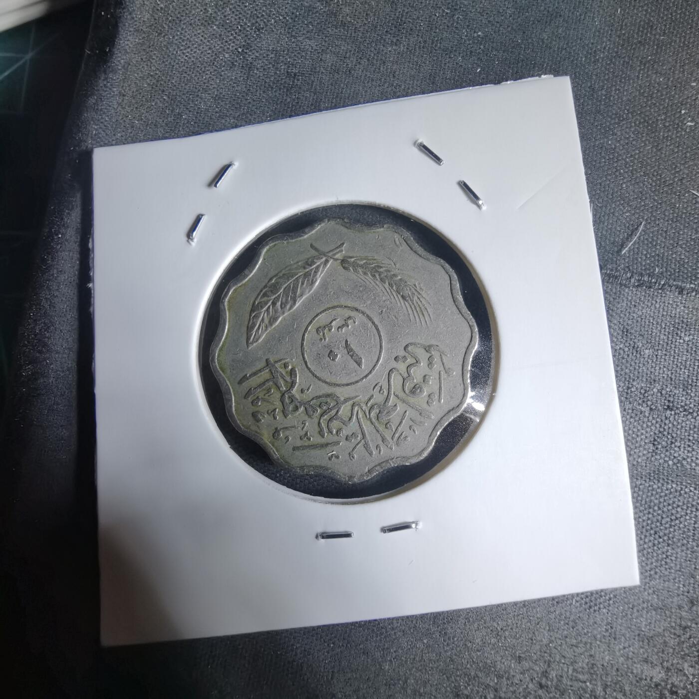 沼泽如烟--第944场