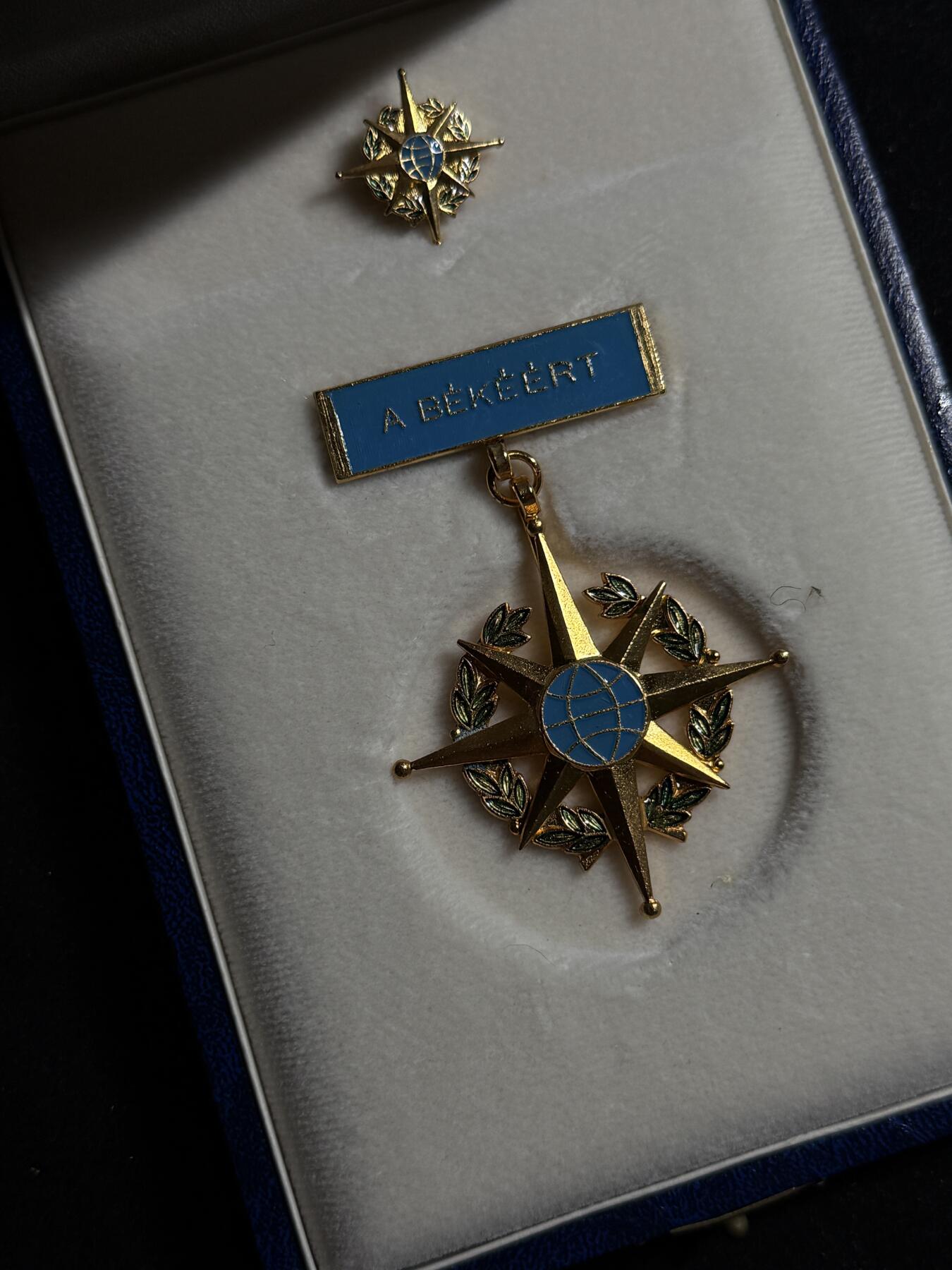 欢庆元旦！戎马世界章牌大赏第109期元旦大拍