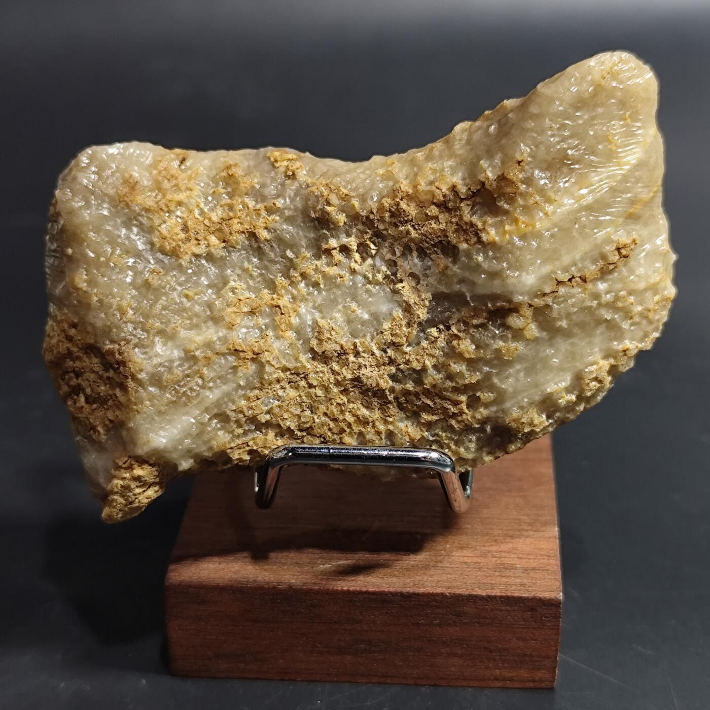 希腊罗马丝路打制币化石【中外钱币放漏】专场！陆小鱼的钱币仓，限时拍卖第080场 4.5亿年前奥陶纪时期海洋古生物化石标本109g