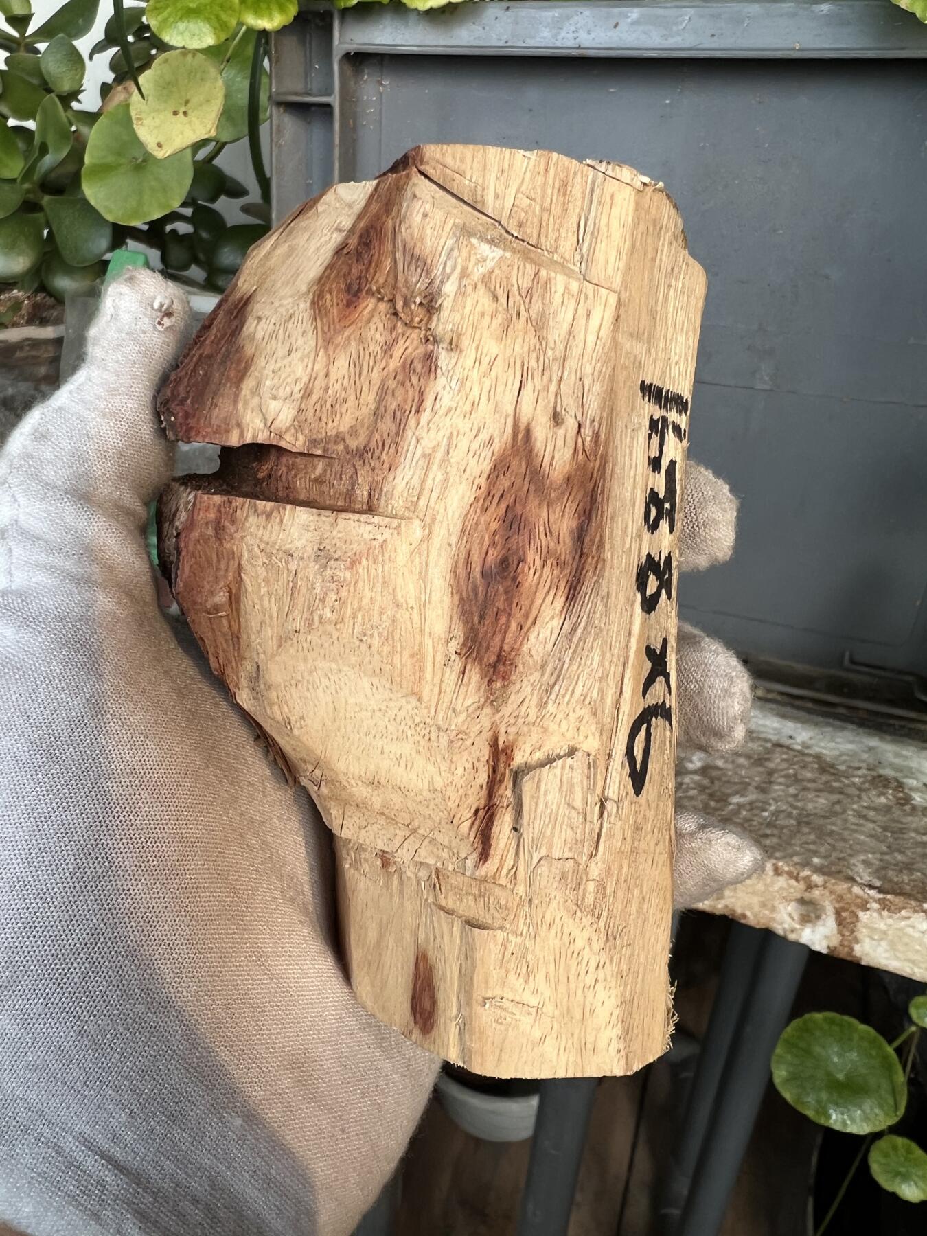 零元拍：  1688/6 海南黄花梨原料。因为料子不规则，尺寸为大约尺寸：113/54/60/52/48MM