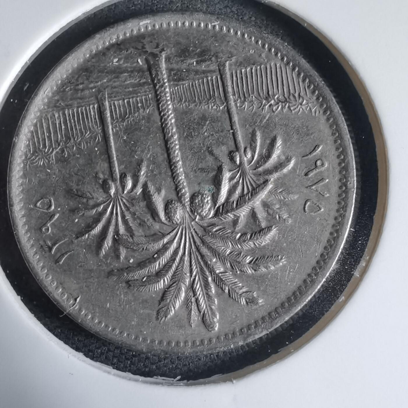 沼泽如烟--第944场